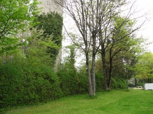 IMG_0676