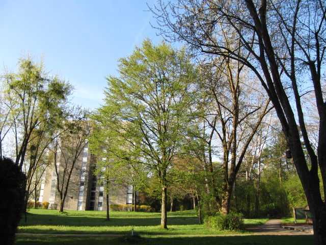 Ökologie im Viertel ein Gastbeitrag ProFürstenried e.V.